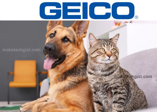 GEICO Pet Insurance Review 2022 - What is GEICO Pet Insurance and How Does it Work?