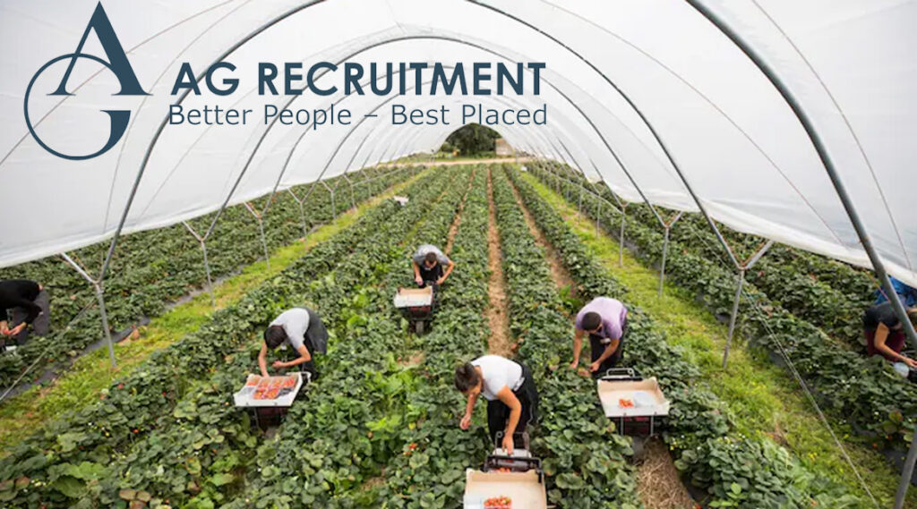 AG Recruitment UK - Apply for Agricultural Jobs in the UK