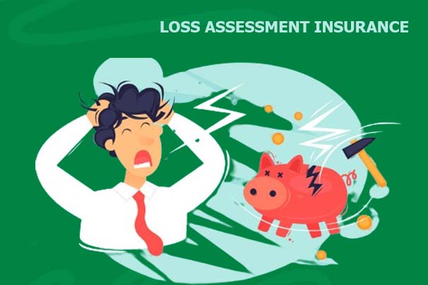 Loss Assessment Insurance