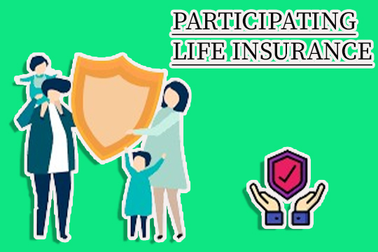 Participating Life Insurance