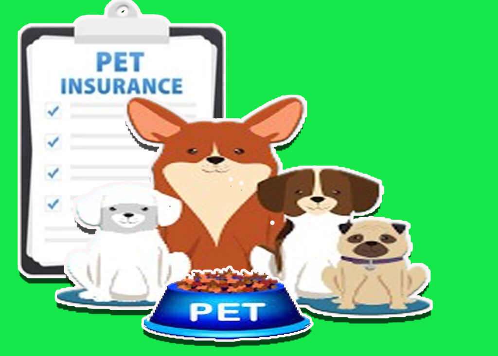 Does Pet Insurance Cover Prescription Food