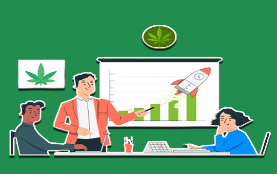 How to Insure a Cannabis Business