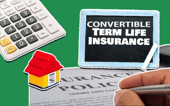 What is a Convertible Term Life Insurance Policy