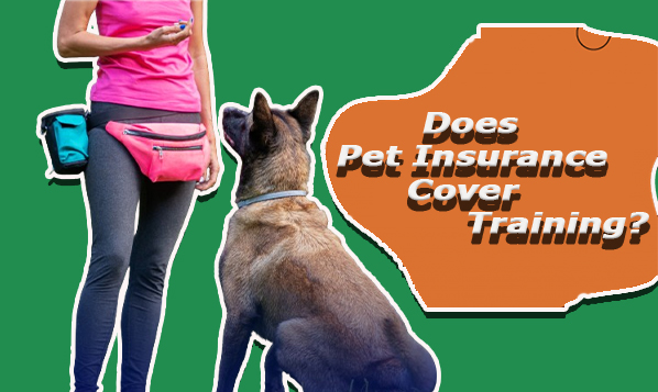 Does Pet Insurance Cover Training