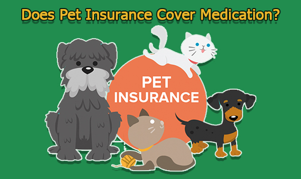 Does Pet Insurance Cover Medication