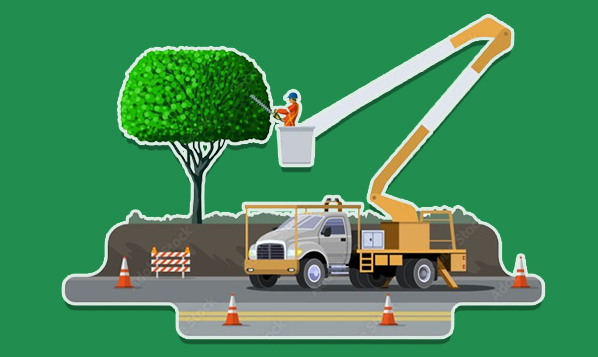 Tree Service Insurance