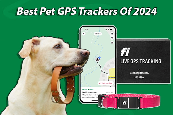 Best Pet GPS Trackers Of 2024