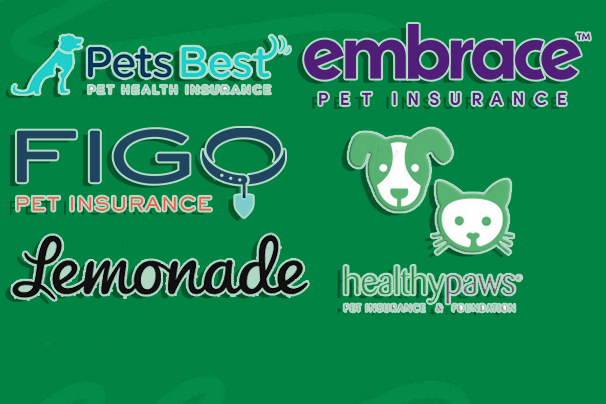 Best Pet Insurance Companies