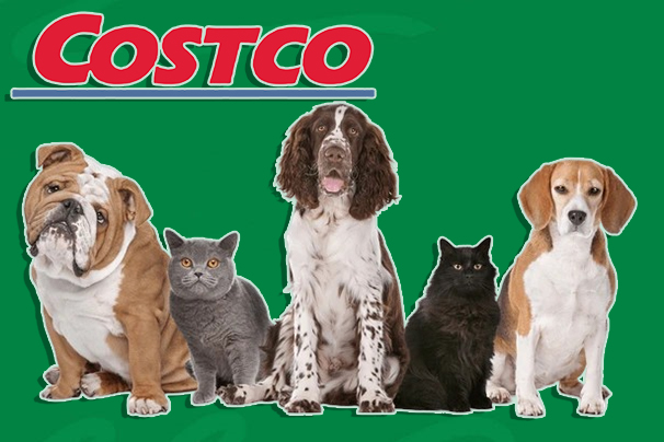 Costco Pet Insurance