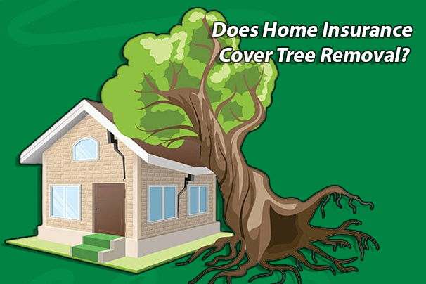 Does Home Insurance Cover Tree Removal?