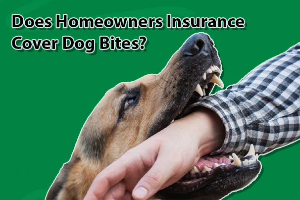 Does Homeowners Insurance Cover Dog Bites