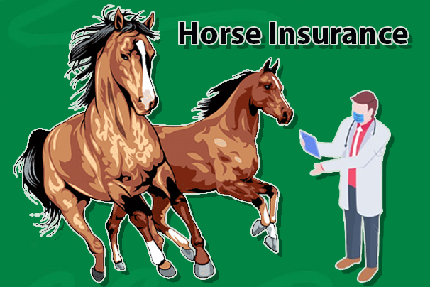 Horse Insurance