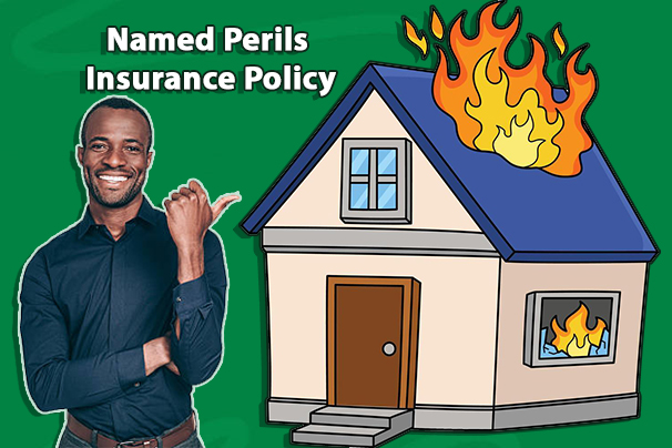 Named Perils Insurance Policy