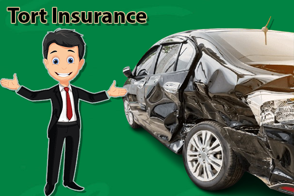 Tort Insurance