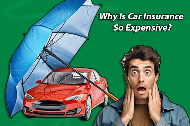 Why Is Car Insurance So Expensive?