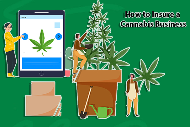 How to Insure a Cannabis Business