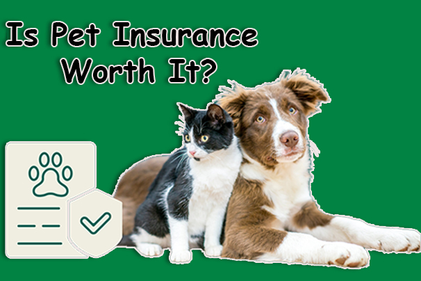 Is Pet Insurance Worth It?