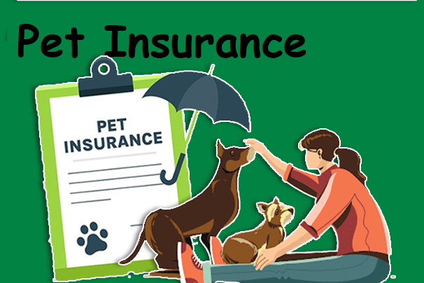 Pet Insurance