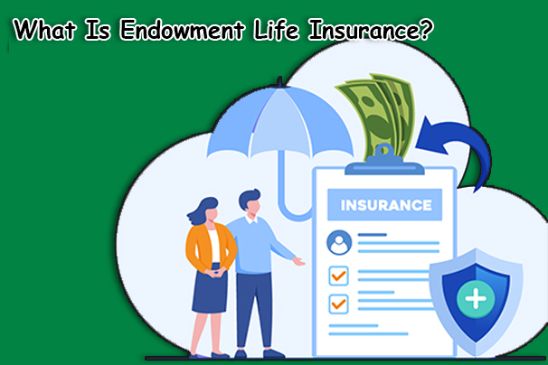 What Is Endowment Life Insurance?