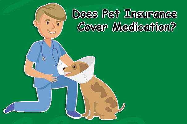 Does Pet Insurance Cover Medication?